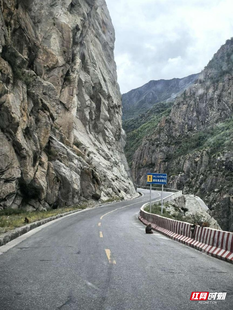 圖片.png 圖片.png