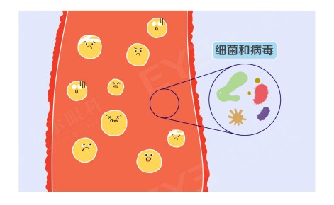 圖片.png 圖片.png