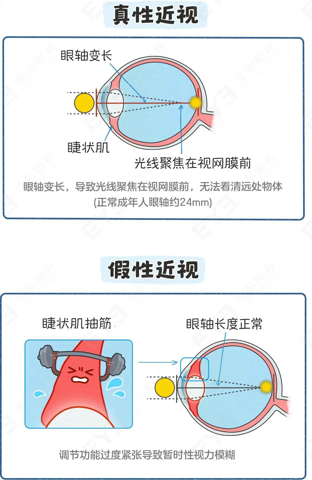 圖片.png 圖片.png